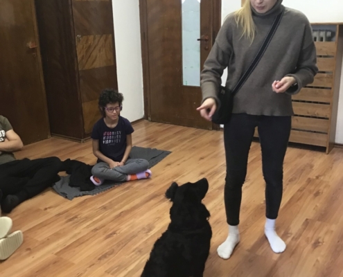 Heidi předvedla nám, jak se naučila malovat