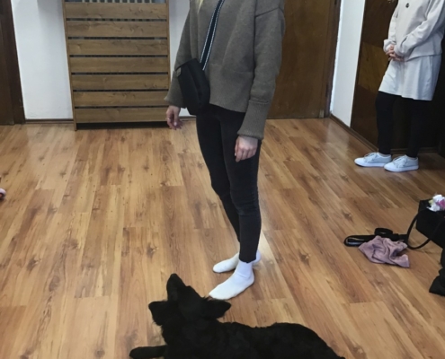 Heidi předvedla nám, jak se naučila malovat