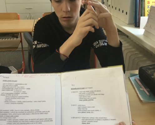 Tento týden např. matematika a děti baví také práce na počítači