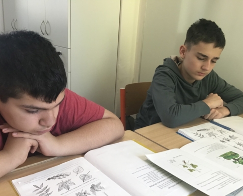 Tento týden např. matematika a děti baví také práce na počítači