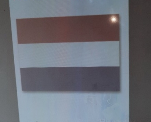 Tento týden byl opět nabitý aktivitami