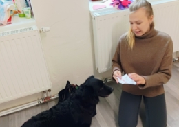 V úterý proběhla v naší třídě D Canisterapie