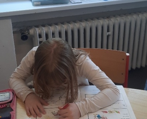 Tento týden jsme měli ve škole opravdu pestrý program