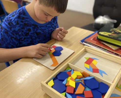 Matematika hrou “logico piccolo” rozlišování a poznávání tvarů