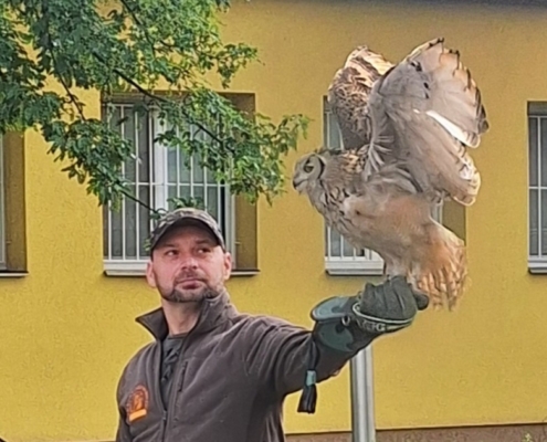 Ve čtvrtek se třída C zúčastnila zajímavé přehlídky dravců