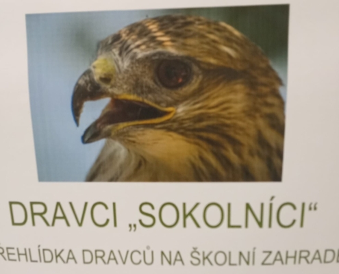 Ve čtvrtek se třída C zúčastnila zajímavé přehlídky dravců na zahradě