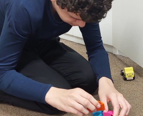 dřevěné vkládačky, autíčka a náklad, magnetická tabulka, puzzle, hraní na varhanky