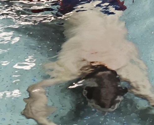 Pokrok a užila si skvělou hodinu v bazénu