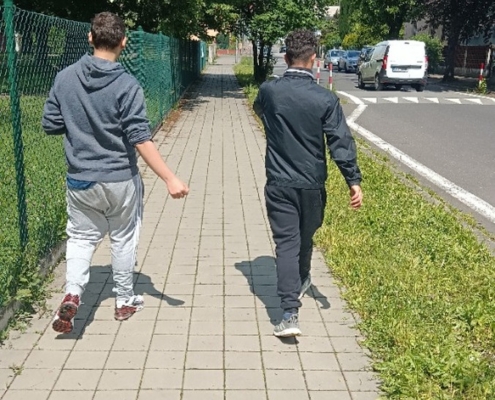 Procházka lesoparkem