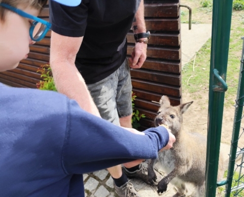 Naše třída dnes navštívila oblíbenou farmu v Kozlovicích