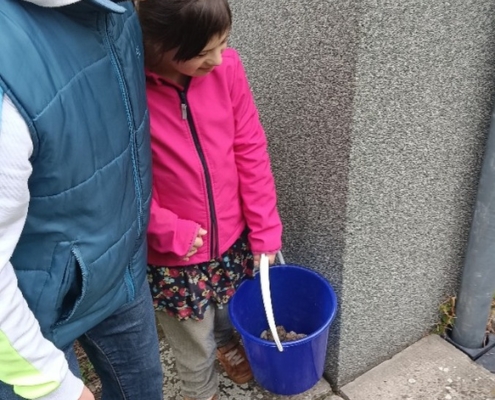 Péče o zahradu, úprava trávníku