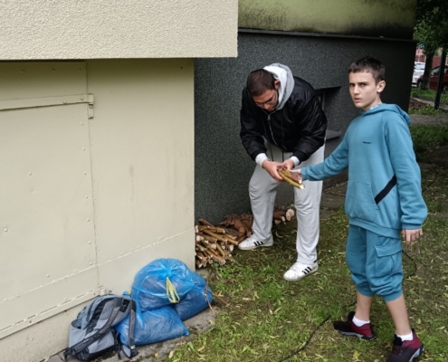 Pracovní činnosti řezání a úklid dřeva