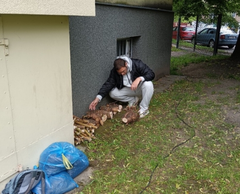 Pracovní činnosti řezání a úklid dřeva