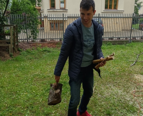 Pracovní činnosti řezání a úklid dřeva
