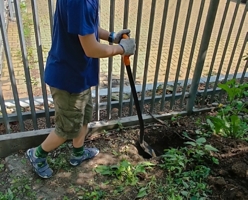 vynést a vytřídit odpad, zasadit keř, nastříhat a uklidit větve