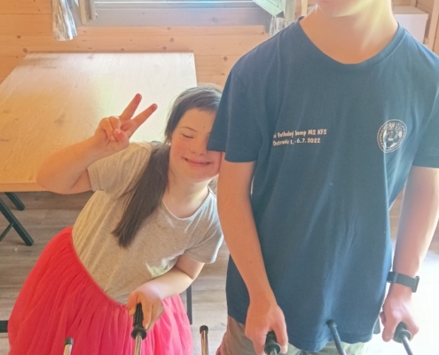 vynést a vytřídit odpad, zasadit keř, nastříhat a uklidit větve