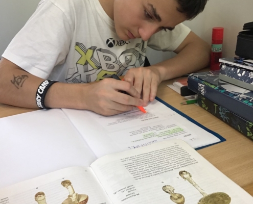 Stále se učíme - Čj: čteme, píšeme, procvičujeme gramatiku