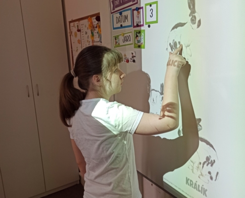 se věnovali výuce čtení, psaní, matematice. Práce na interaktivní tabuli