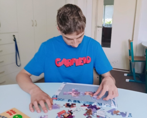 Dřevěné vkládačky, puzzle, tanečky, kreslení, vybarvování, hraní si s kostkami
