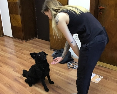 rozlučkové setkání s naší chlupatou kamarádkou Heidi