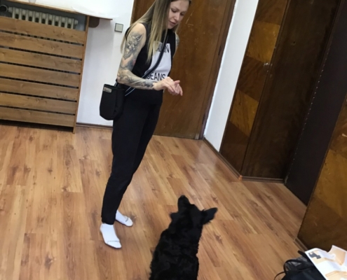 rozlučkové setkání s naší chlupatou kamarádkou Heidi