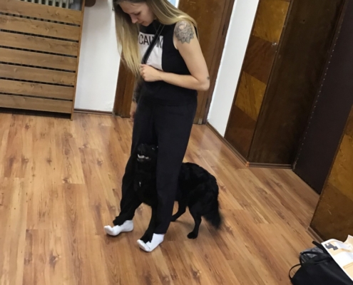 rozlučkové setkání s naší chlupatou kamarádkou Heidi