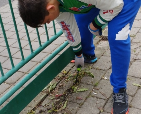 v pondělí se kluci z pracovek pustili do boje s plevelem