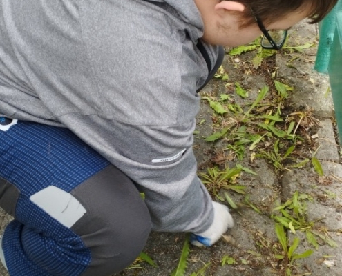 v pondělí se kluci z pracovek pustili do boje s plevelem