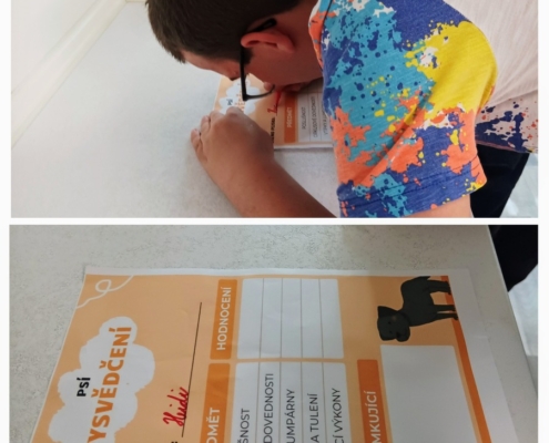 V tomto týdnu proběhla v naší třídě Canisterapie