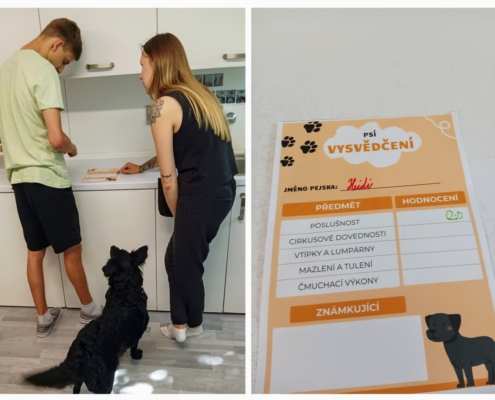 V tomto týdnu proběhla v naší třídě Canisterapie