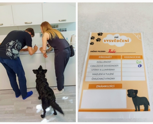 V tomto týdnu proběhla v naší třídě Canisterapie
