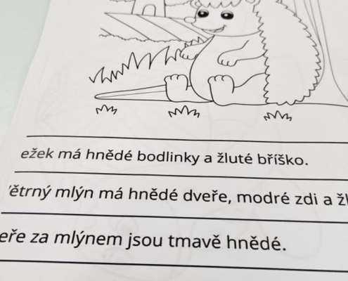 Bazén v Pokroku,  návštěva Minikina,  závěrečné opakování v matematice, psaní,