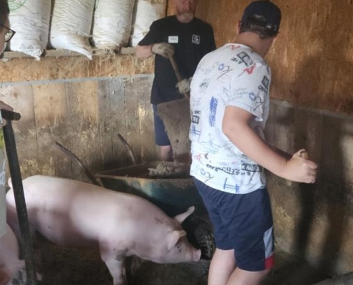 Poslední farma v tomto školním roce