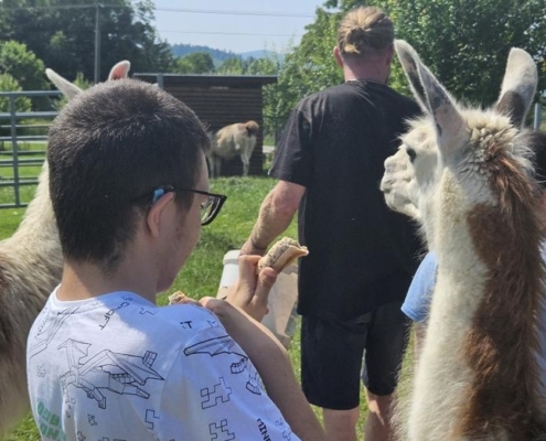 Poslední farma v tomto školním roce