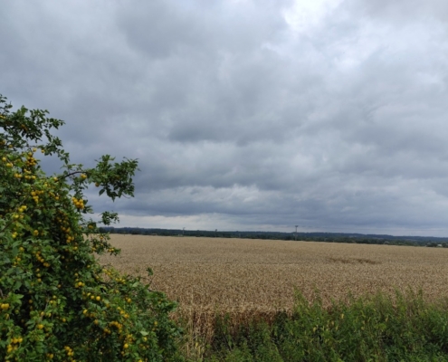 akce-442-030 Dnešní výlet do Jistebníku