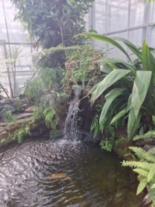 výlet do Arboreta v Novém Dvoře u Opavy