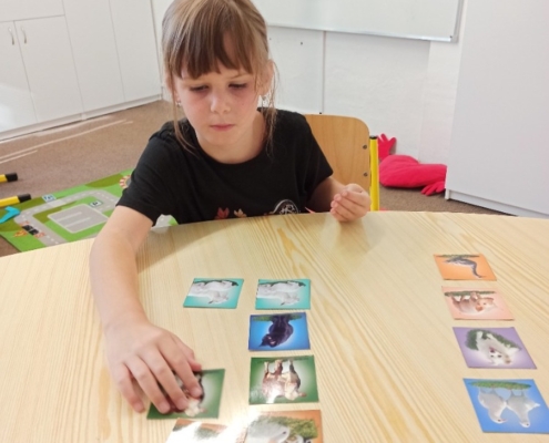 Třídění tvarů. Procvičování jemné motoriky