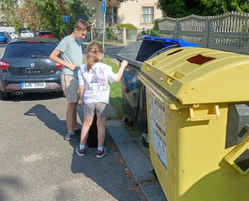 Třídění tvarů. Procvičování jemné motoriky