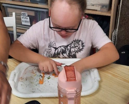 Školní rok jsme ve třídě H zahájili aktivně i tvořivě.