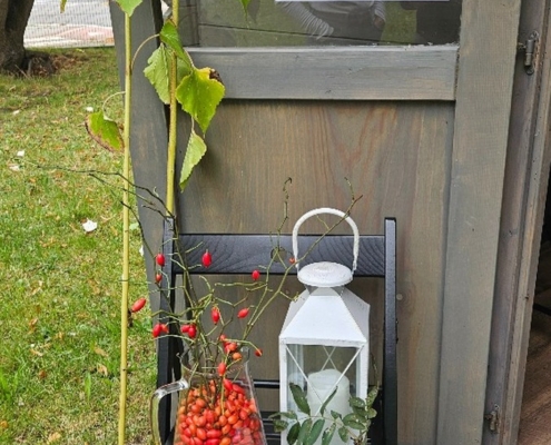 proběhla výstava, kterou jsme si pečlivě prošli a zopakovali si názvy jednotlivých plodin