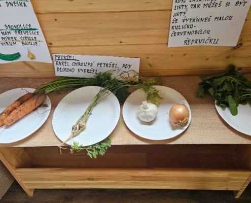 proběhla výstava, kterou jsme si pečlivě prošli a zopakovali si názvy jednotlivých plodin