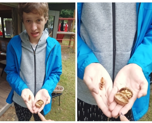 proběhla výstava, kterou jsme si pečlivě prošli a zopakovali si názvy jednotlivých plodin