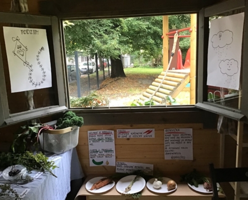 proběhla výstava, kterou jsme si pečlivě prošli a zopakovali si názvy jednotlivých plodin