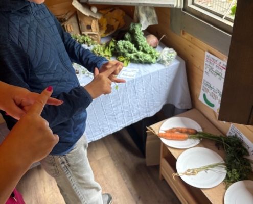 proběhla výstava, kterou jsme si pečlivě prošli a zopakovali si názvy jednotlivých plodin