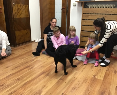 Některé děti zažily canisterapii poprvé