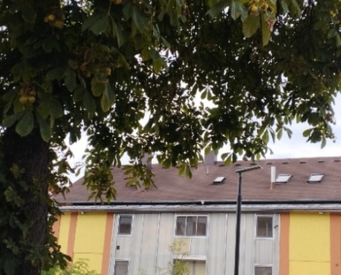 na hřišti i vycházce do parku