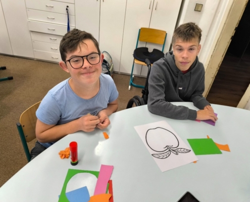 Plavání v Pokroku, návštěva divadla, akce s pejsky, vaření, taneční