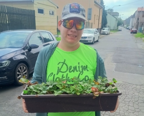 Projekt jahodových záhonů pokračuje