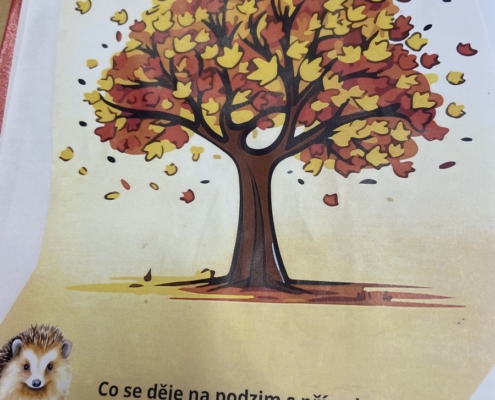 Téma- Příroda na podzim