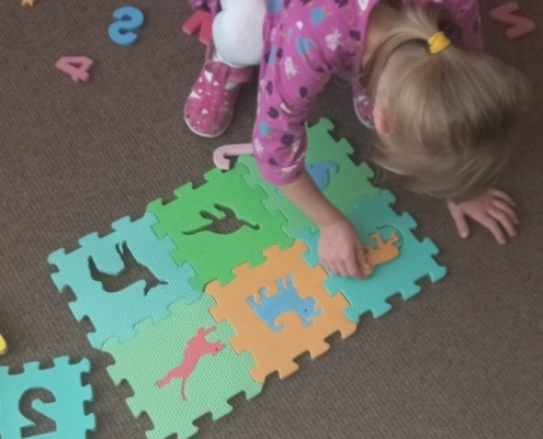 akce-520-007 Družina v tomto týdnu - puzzle, omalovánky, kreslení obrázků, pobyt v malé tělocvičně